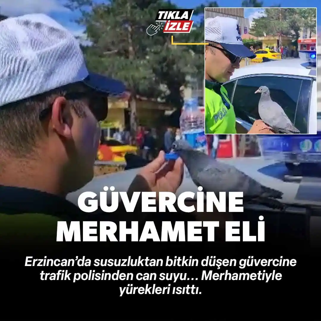 Image from Yeni Şafak: Güvercine elleriyle su içiren trafik polisi merhametiyle yürekleri ısı...