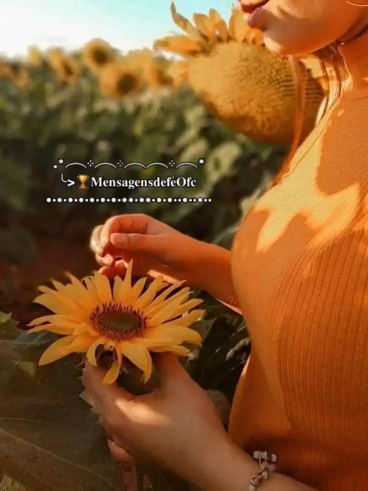 Image from 🏆Mensagens De Fé Ofc: ........... ✾✾✾✾ 🌻🌿✾✾✾✾ .'。゚゚・ 。・゚゚。 ✾✾✾✾ ✾✾🌻🌿✾✾ Pois estou c...