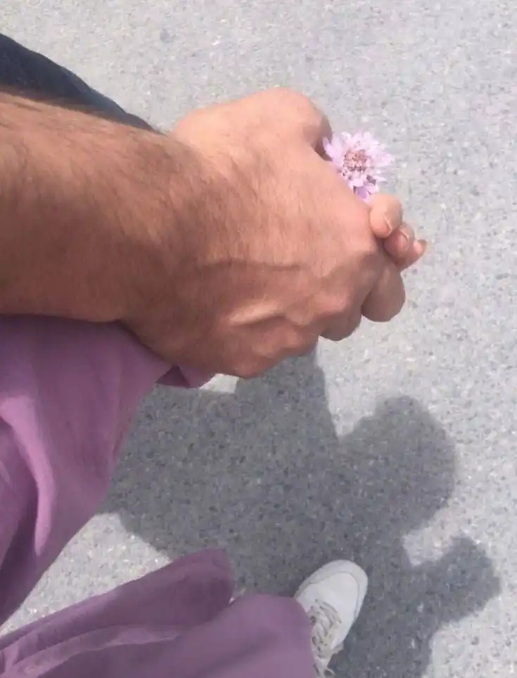 Image from AL صور بنات ستوريات انستا رمزيات بنات حزينه حالات واتساب قصص اشعار حب دردشه بنات تحشيش نكت مقاطع: رَسايل عَندي الك بَس ماكو زَاجل حَوگ🤎...