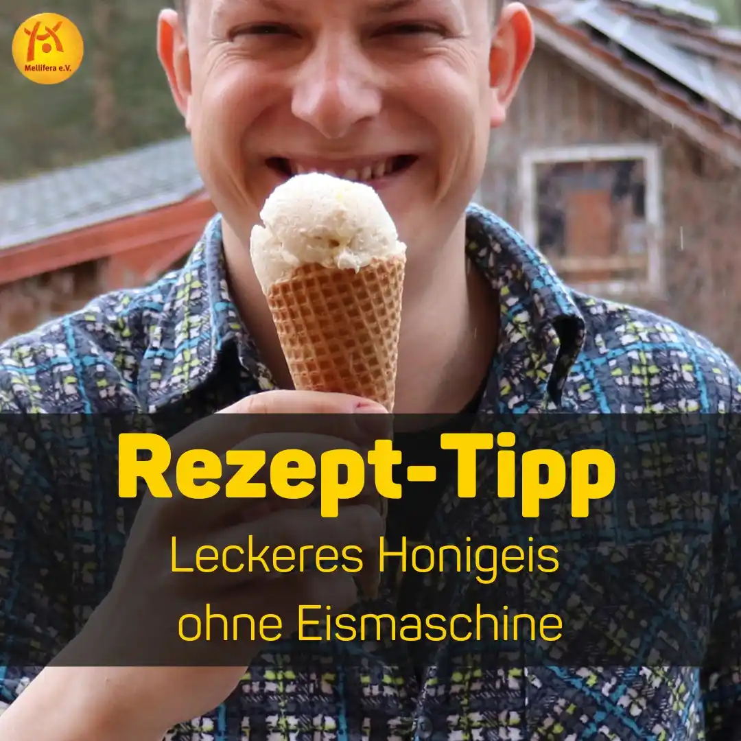 Image from Mellifera e. V. – Initiativen für #BieneMenschNatur: *Rezept: Honigeis ohne Eismaschine* 🍦 Der Sommer ist endlich da und ...