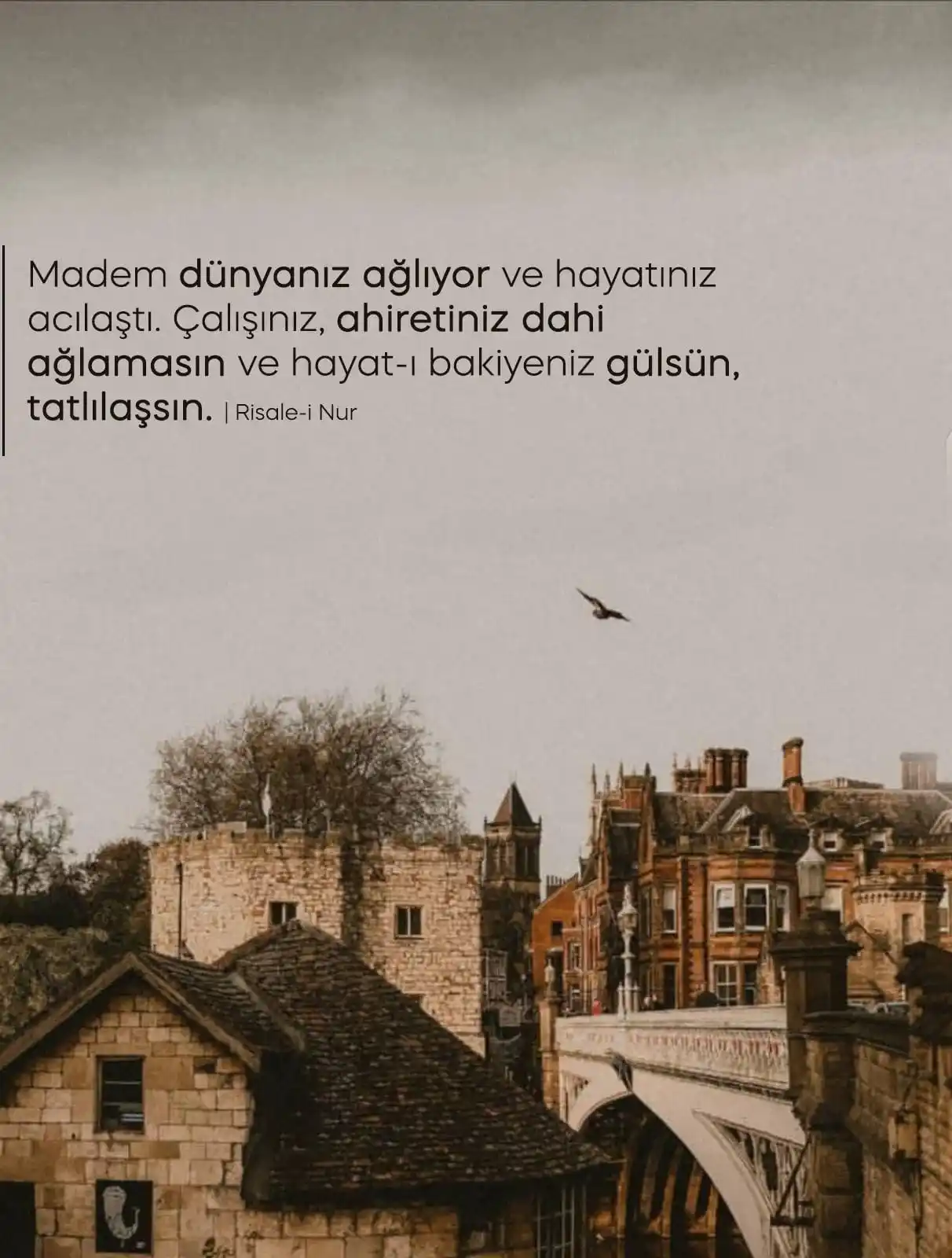 Image from Nur Nesli 📕💌💎: _Üstad'ımız bu gibi ifadeleri ilk etapta mahpuslara verse bile aslında...