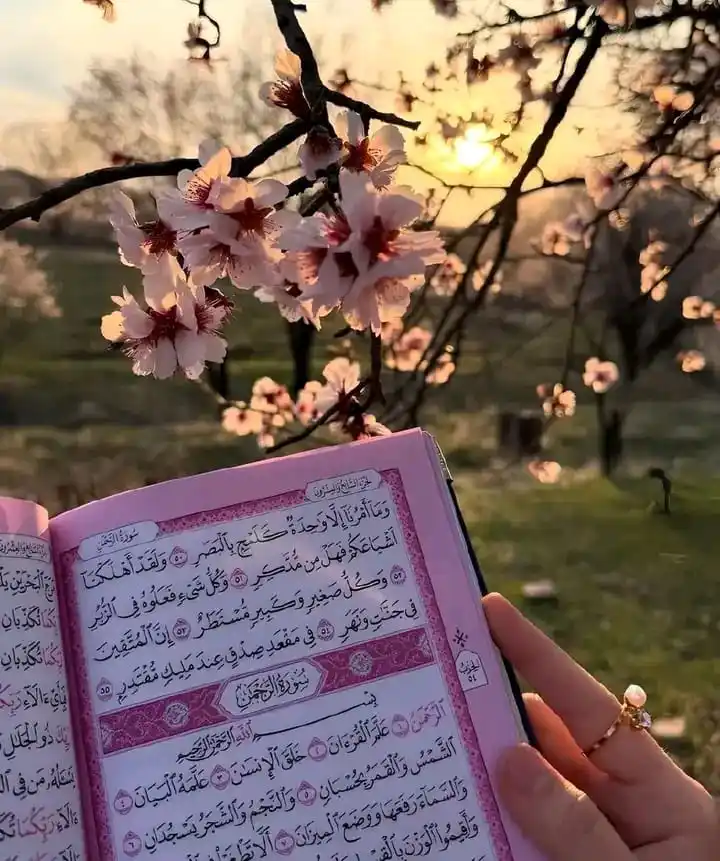 حكم واقوال post