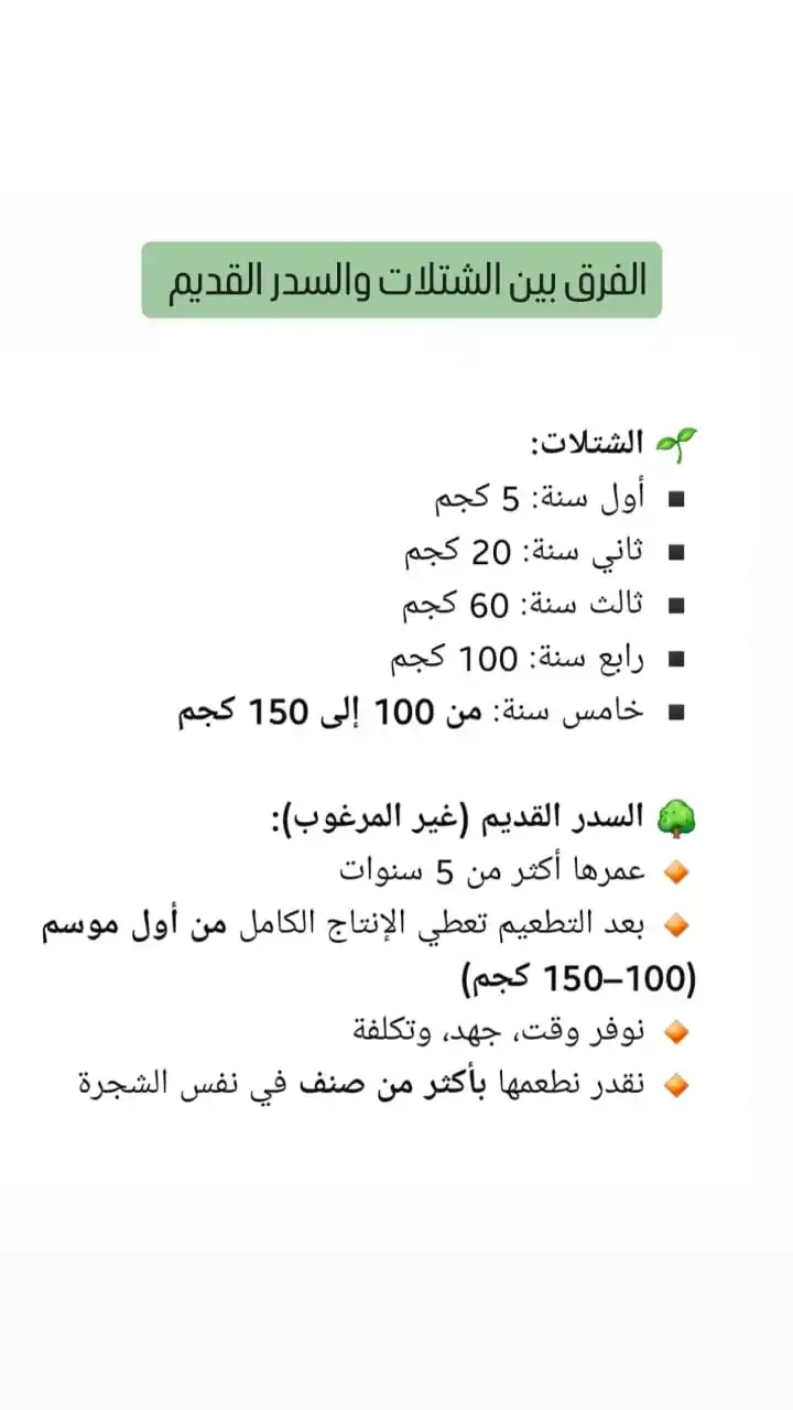 سدرة عُمان post