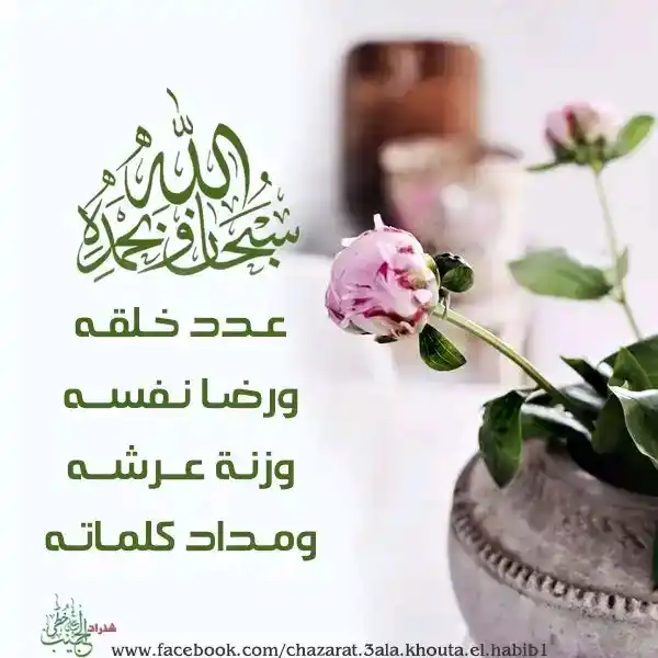 Image from فــذكــر: اللهم أجعل صباحنا يحمل بشائر خيرك وأجعل لنا مع نسمات هذا الصباح رزقاً...