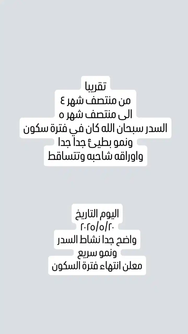 سدرة عُمان post