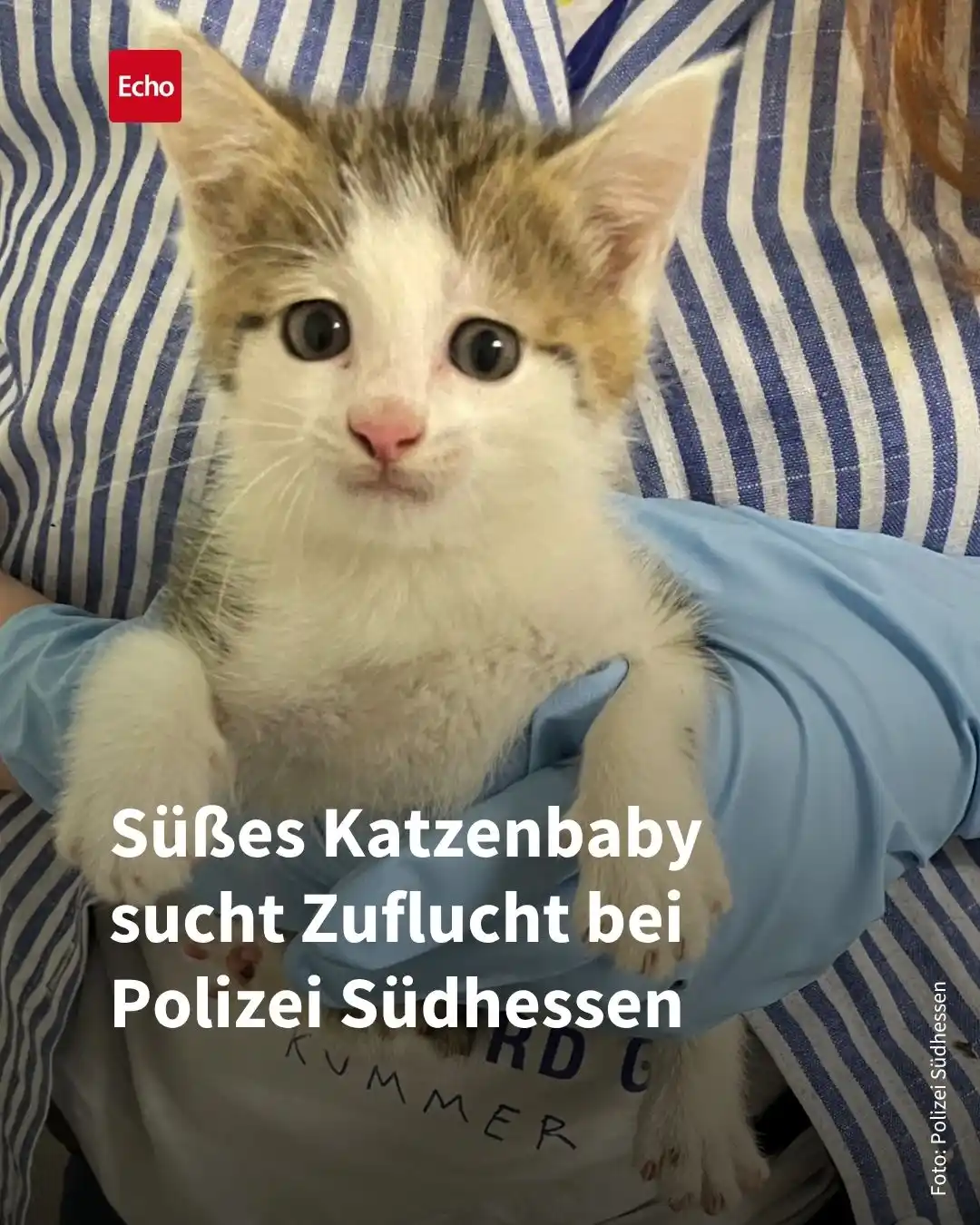 Echo Online Südhessen post