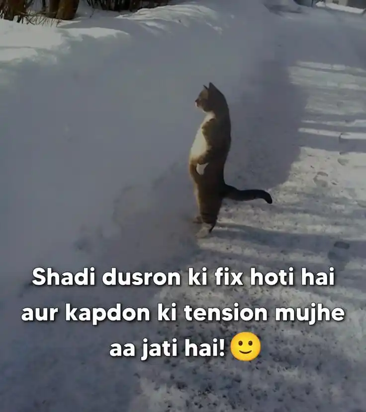 Introverts' World post