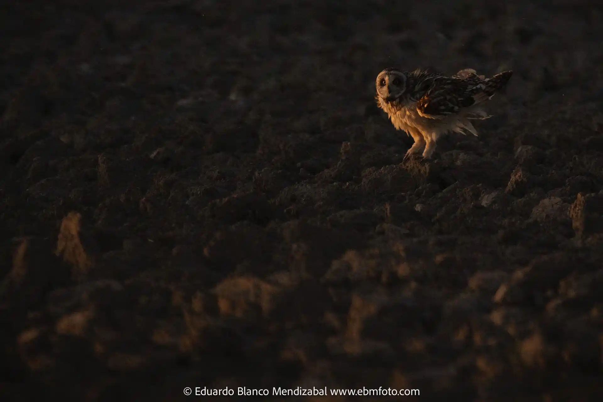 Cosicas EBMFOTO post