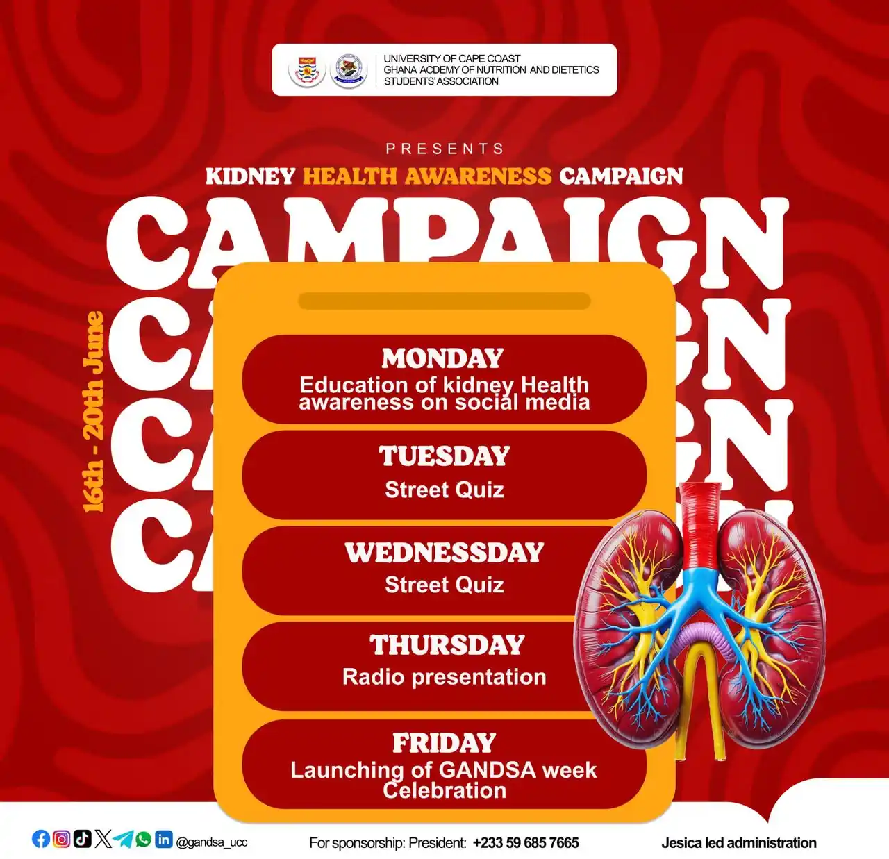 Image from VOICE OF GANDSA-UCC : 🌟 Join Us for the Kidney Health Awareness Campaign! 🌟 From June 16t...