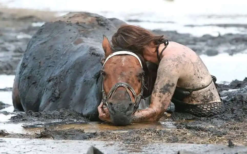 Image from 💀JUMPSCARE CHANNEL, TERROR, ENTRETENIMIENTO, CURIOSIDADES, CIENCIA, RELATOS E HISTORIAS IMPACTANTES💀: Joven permanece tres horas junto a su caballo atrapado en el barro en...