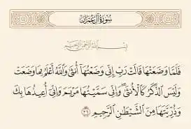 Image from فــذكــر: ‏كانت أُمنية امرأة عمران أن تلد ذكرًا ليكون خادمًا لبيت المقدس؛ لأن هذ...