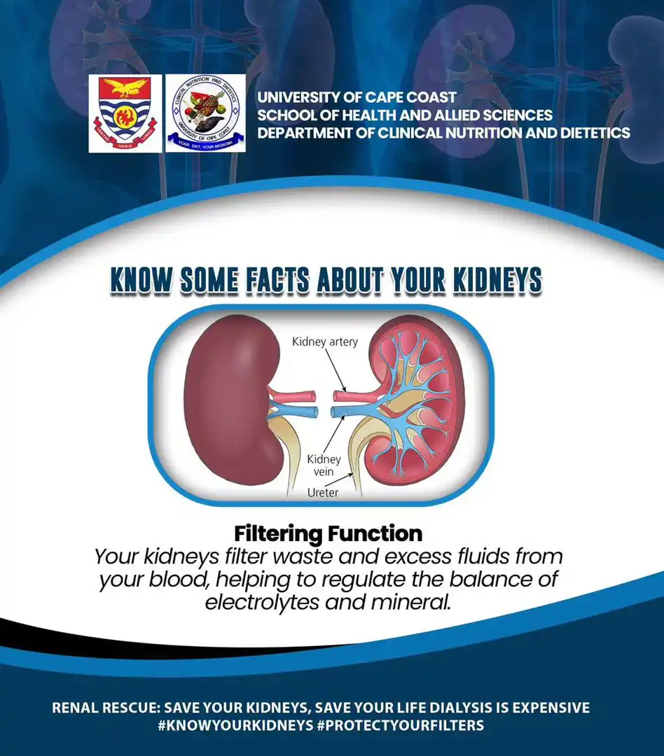 Image from VOICE OF GANDSA-UCC : *Know Your Kidneys: Protect Your Filters*💡 Did you know that your ki...