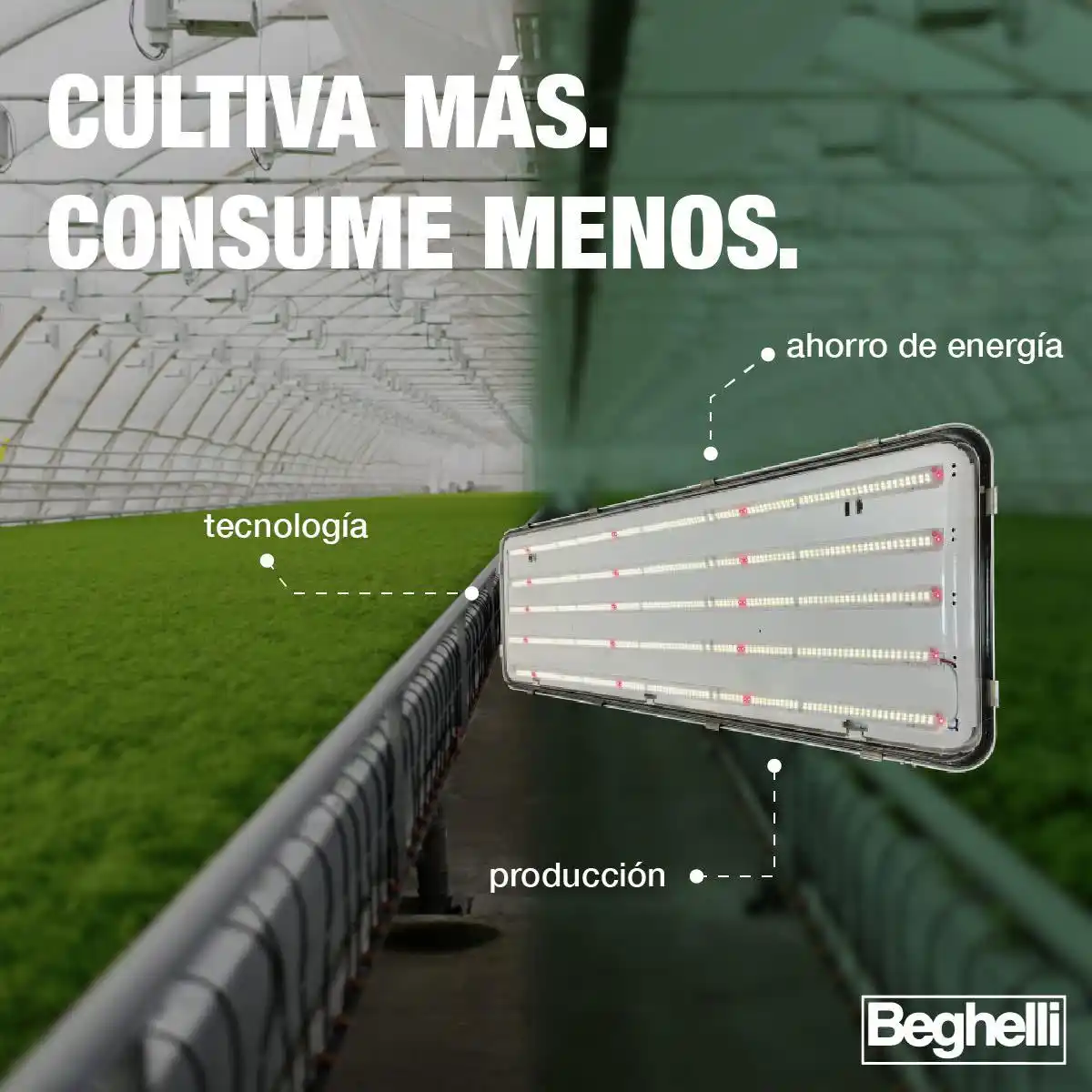 Image from Beghelli México: La línea Fiore 🌿 ofrece lo mejor en eficiencia para horticultura inte...