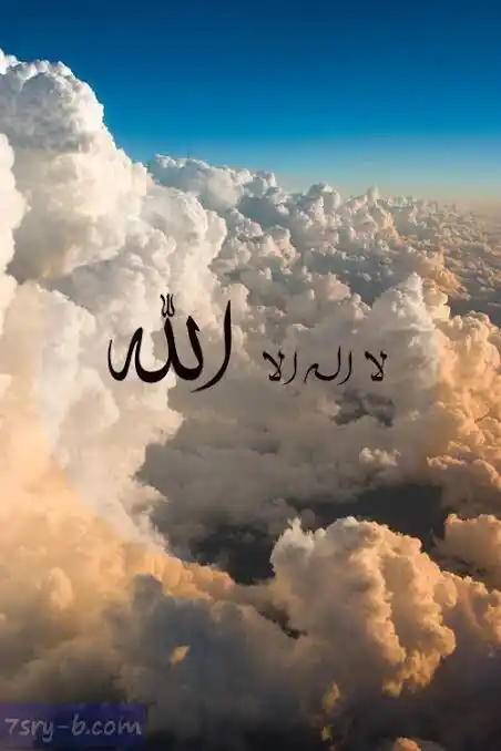 光明文选（Risalei Nur） post