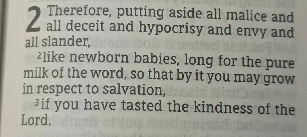 Image from Rising Point For Christ: “Therefore, putting aside all malice and all deceit and hypocrisy and ...