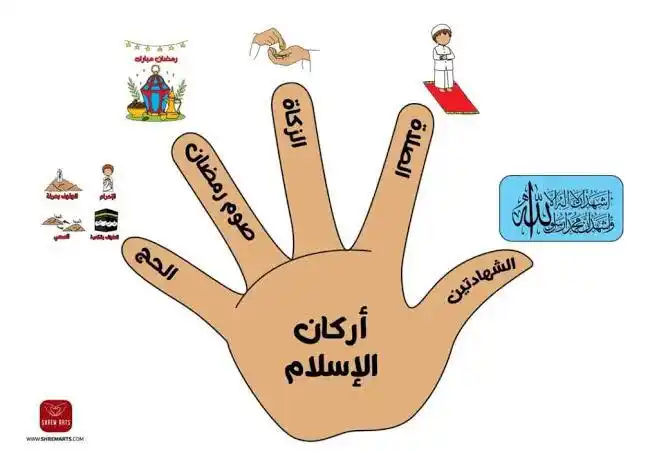 光明文选（Risalei Nur） post