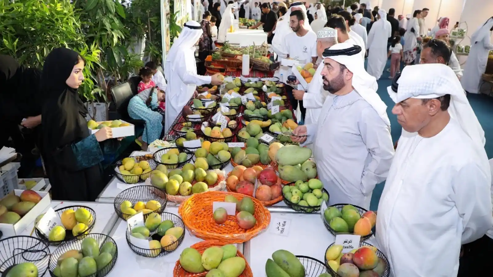 Image from Sharjah24: استكملت غرفة تجارة وصناعة الشارقة كافة الاستعدادات لإطلاق فعاليات الدو...