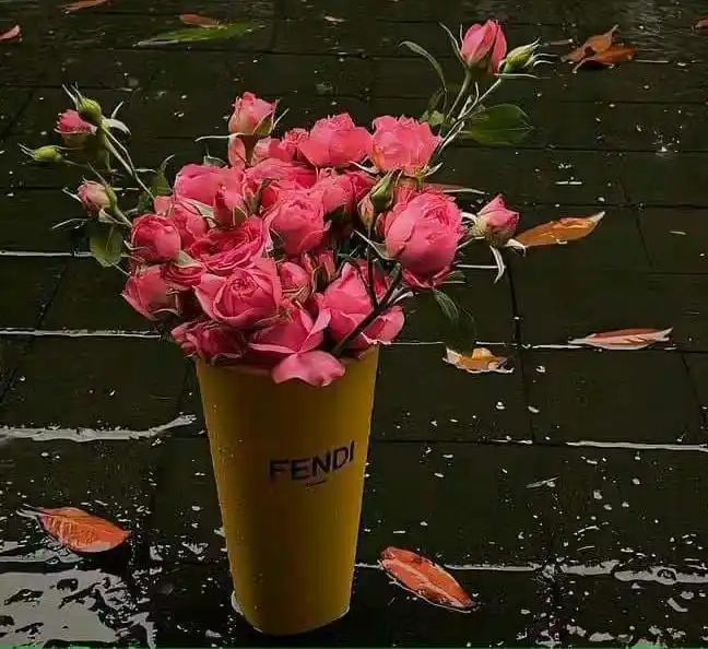 Image from ♥️⃝الْحَـمْدُلِلَّـہ أَنَـا أُمَّـتِـي رَسُـولﷺ⃝♥️: ۔- *_﷽..._*🌿 - *_قُـــــــــــــــــــــــــــلْ هُوَ اللهُ أَحَدٌ ...