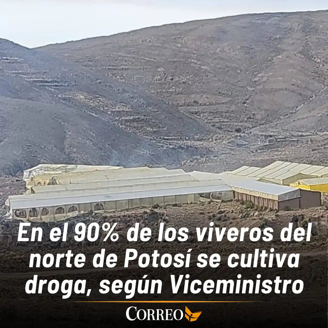 Image from Correo del Sur 📰: En el 90% de los viveros del norte de Potosí se cultiva droga, según V...