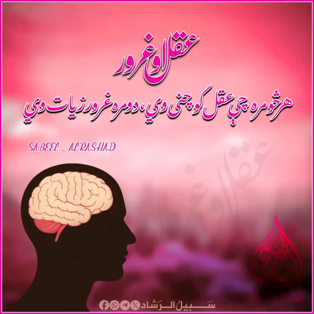 Image from سبیل الرشاد: هر څومره چې عقل کوچنی وي، دومره غرور زیات وي. https://whatsapp.com/cha...