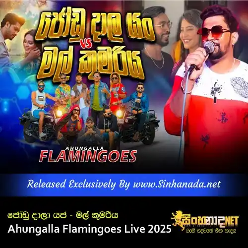 Image from Sinhanada.net: Jodu Dala Yan & Mal kumariya Ahungalla Flamingoes Live 2025 Download -...