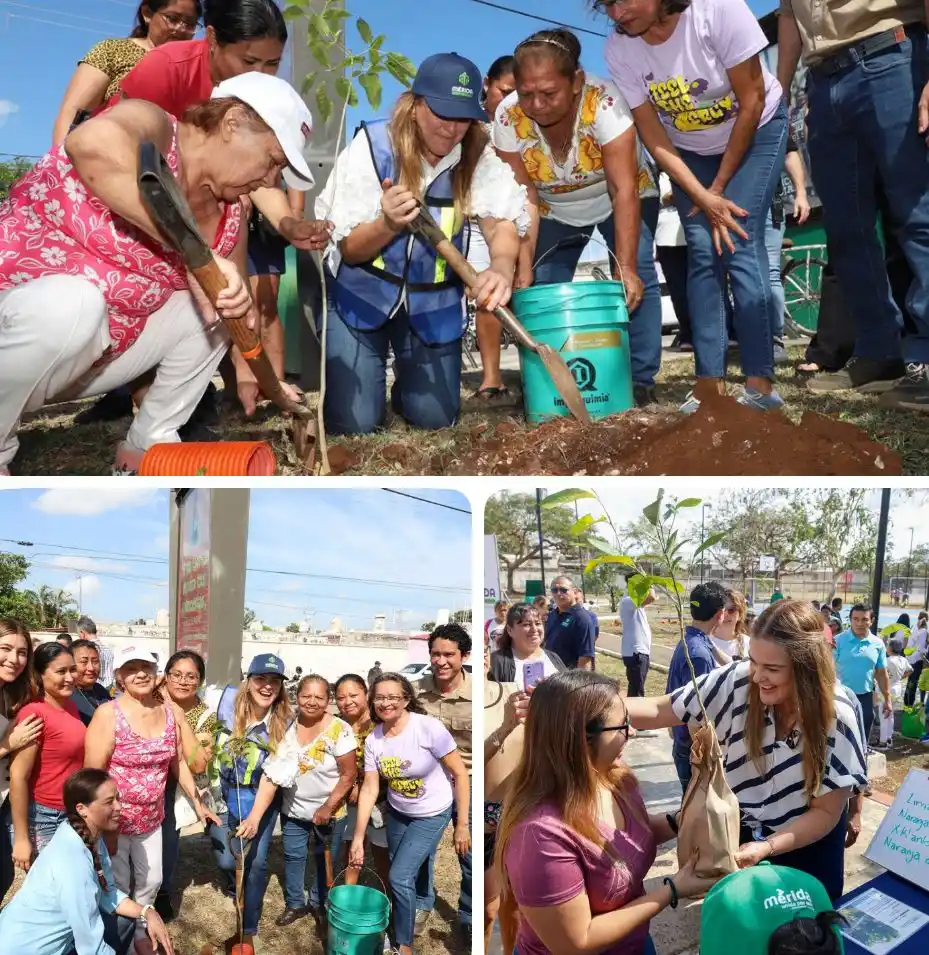 Image from Notirasa: 🌳 ¡Mérida se pone verde! 🌿 Cecilia Patrón invita a todas y todos los...
