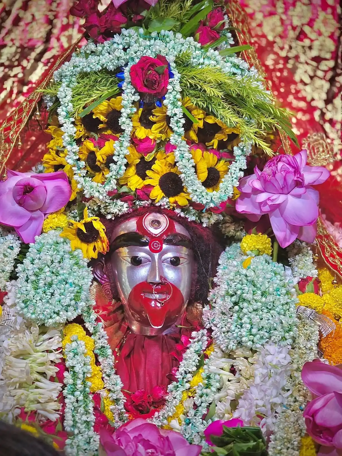 Image from Taramar Bari, Shrirmpur, Hooghly /তারামার বাড়ি শ্রীরামপুর: নমো দেব্যৈ মহাদেব্যৈ শিবায়ৈ সততং নমঃ । নমঃ প্রকৃত্যৈ ভদ্রায়ৈ নিয়তাঃ প্...