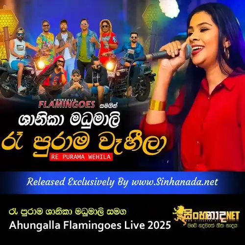 Image from Sinhanada.net: Rea Purama Shanika Madumali with Ahungalla Flamingoes Live 2025 Downlo...