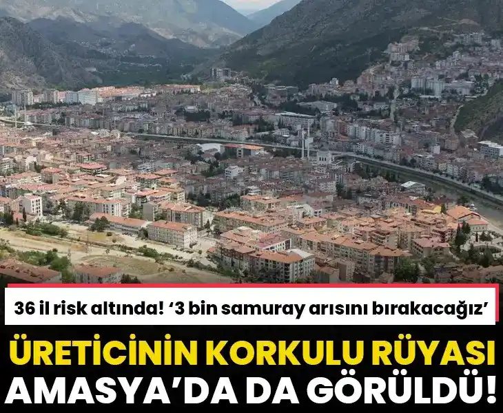 Image from gazetevatancom: 🐝ÜRETİCİLERİN KORKULU RÜYASI 🚫36 il risk altında, son olarak Amasya...