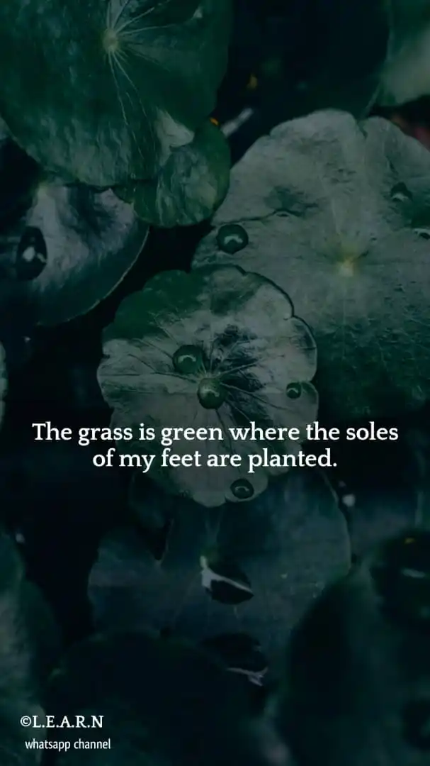 LEAP-Fi |Paul Aremo-Oluwa post