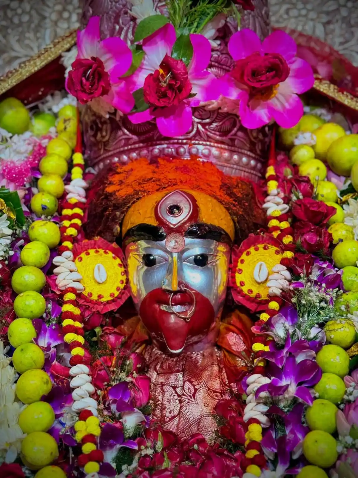 Taramar Bari, Shrirmpur, Hooghly /তারামার বাড়ি শ্রীরামপুর post