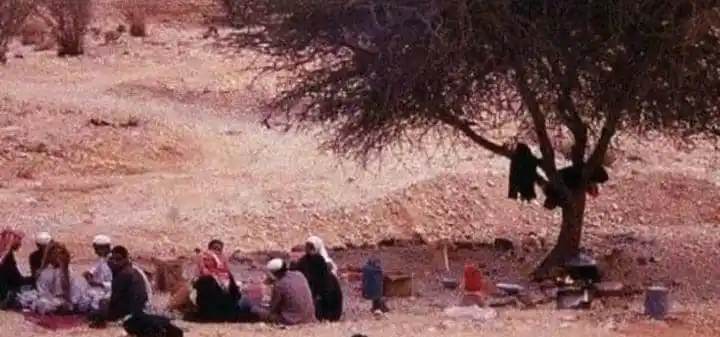 Image from ديوان القصيد | Qassid: على هامش الذكرى وقفت اناظر اللي فات  لقيت أجمل ايام العمر اصبحت ماضِي ...