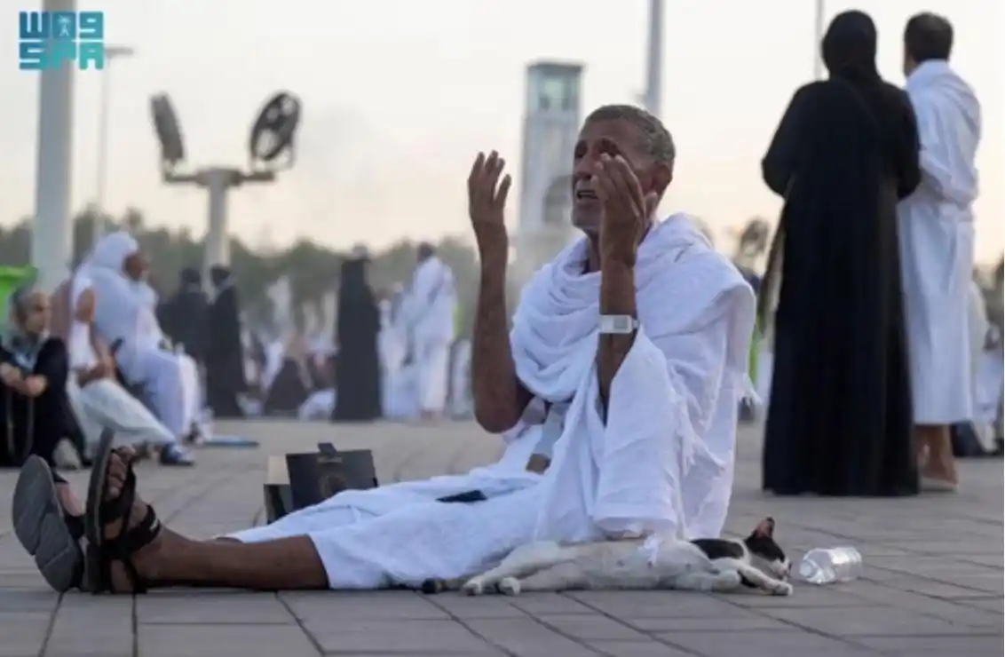 Image from صحيفة صُبرة الإلكترونية : عرفات.. تضرع وخشوع https://sobranews.com/sobra/335969...