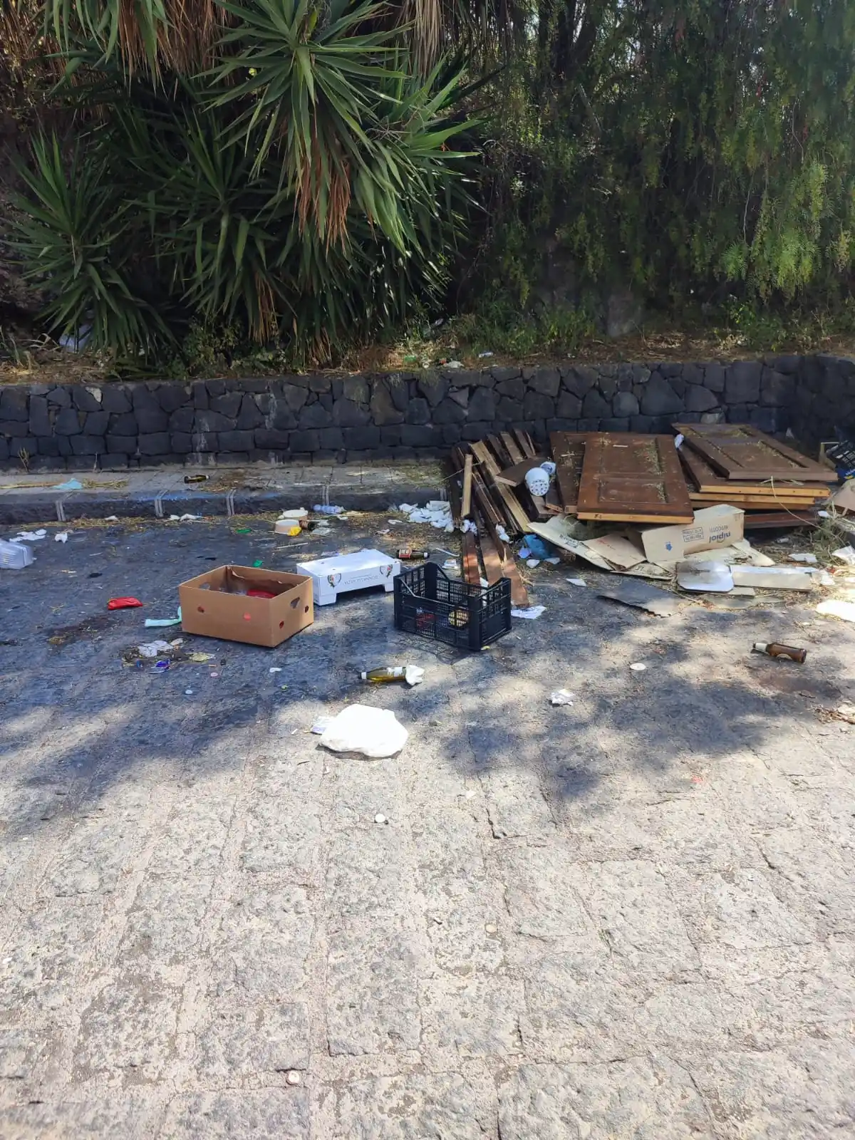 Image from Video Star: Biancavilla: zozzoni sempre in azione Segnalazione di degrado giungon...