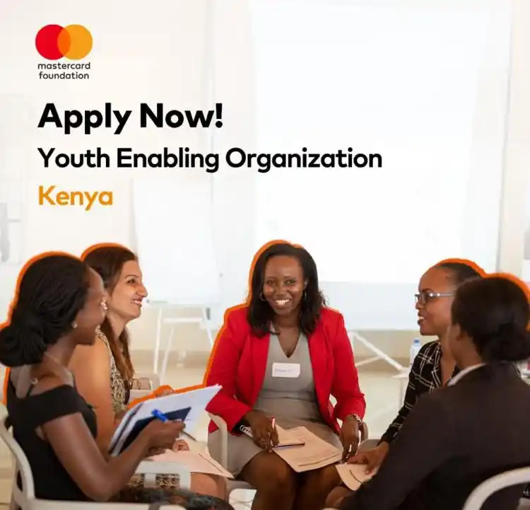 Image from The African Network : Call for Submissions 📣 Are you a Kenyan-led organization experience...