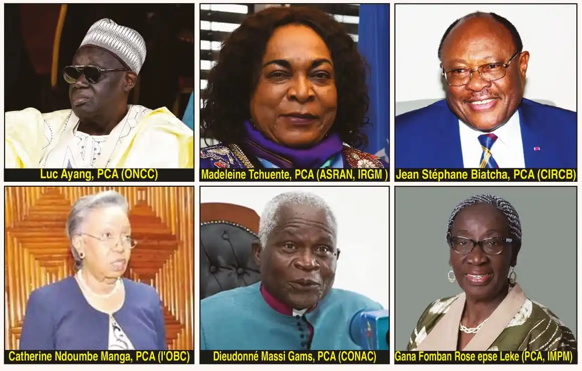 Image from La Voix Des Entreprises: 🇨🇲 *CAMEROUN : 71 présidents de conseils d’administration d’entrepri...