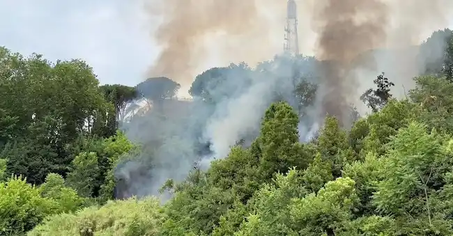 Image from Il Sole 24 Ore: 🔥 *Incendi, nel 2024 in fumo oltre 51mila ettari. Maglia nera Sicilia...