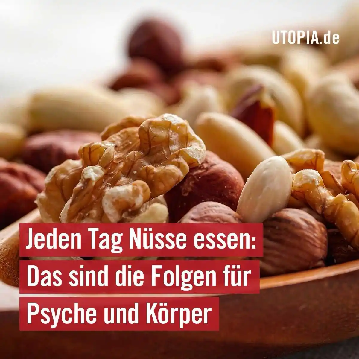 Image from Utopia: 🥜 Jeden Tag Nüsse essen: Das sind die Folgen für Psyche und Körper W...