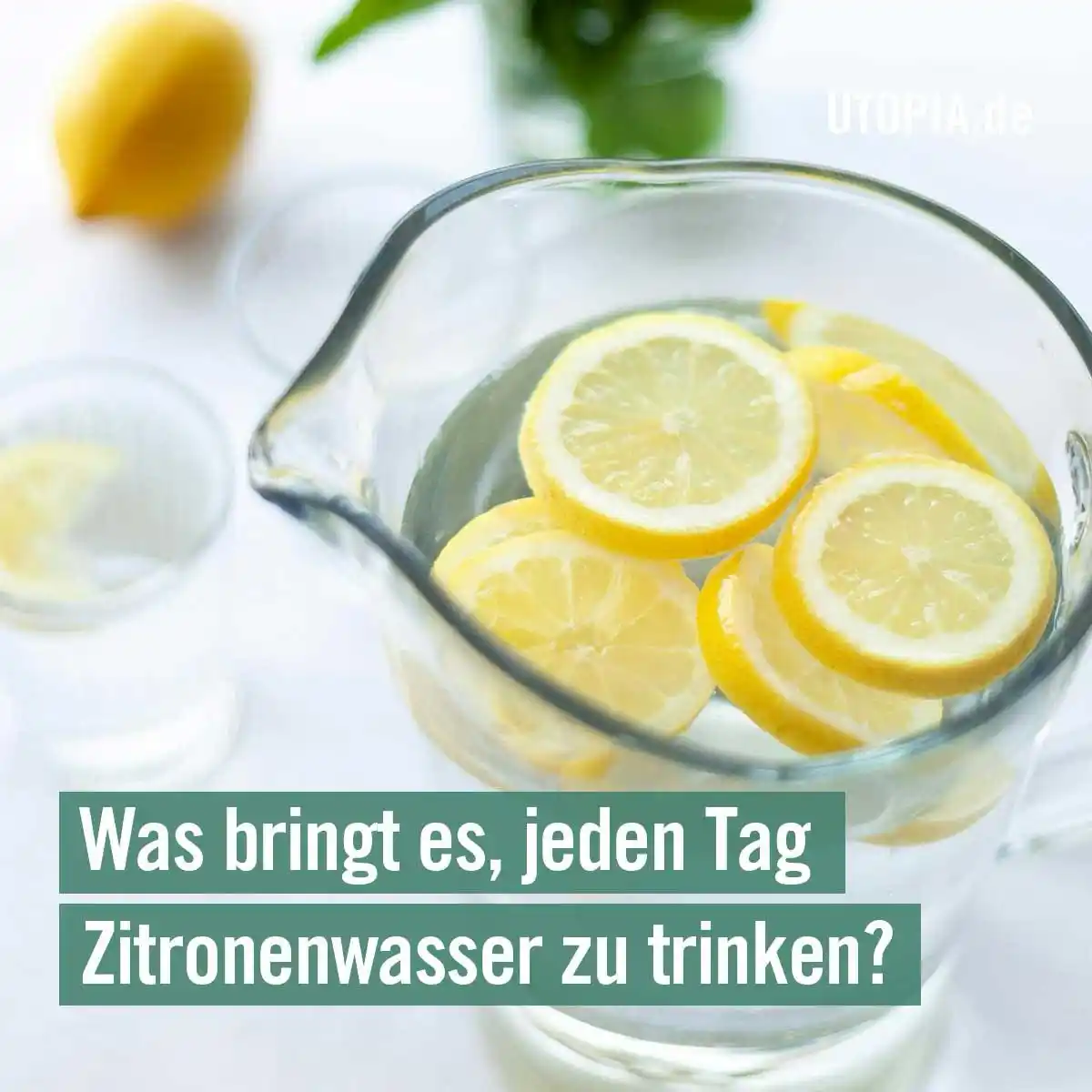 Image from Utopia: 🍋 Jeden Tag Zitronenwasser trinken: Bringt der Trend wirklich was? E...