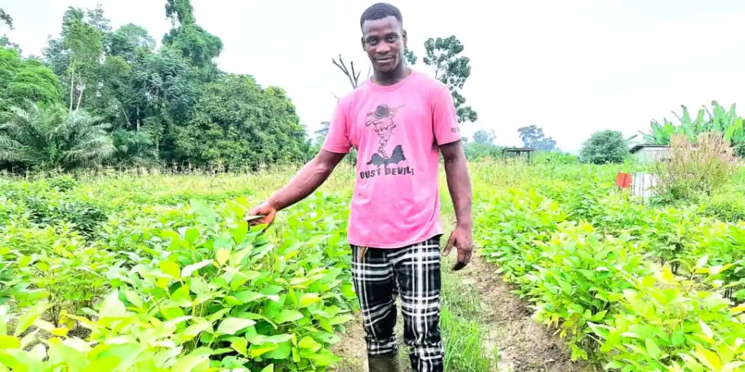 Image from Le Confidentiel: Le rêve vert de Yannick Mvé : Réinventer l’économie gabonaise par l’ag...