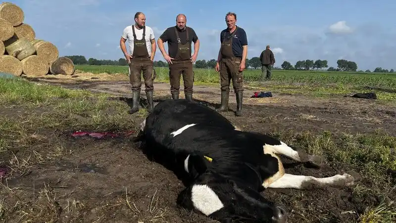 Image from TAGEBLATT: Mahlzeit, hier ist das News-Update am Sonntagmittag: 🐺 Nach Wolfsatt...