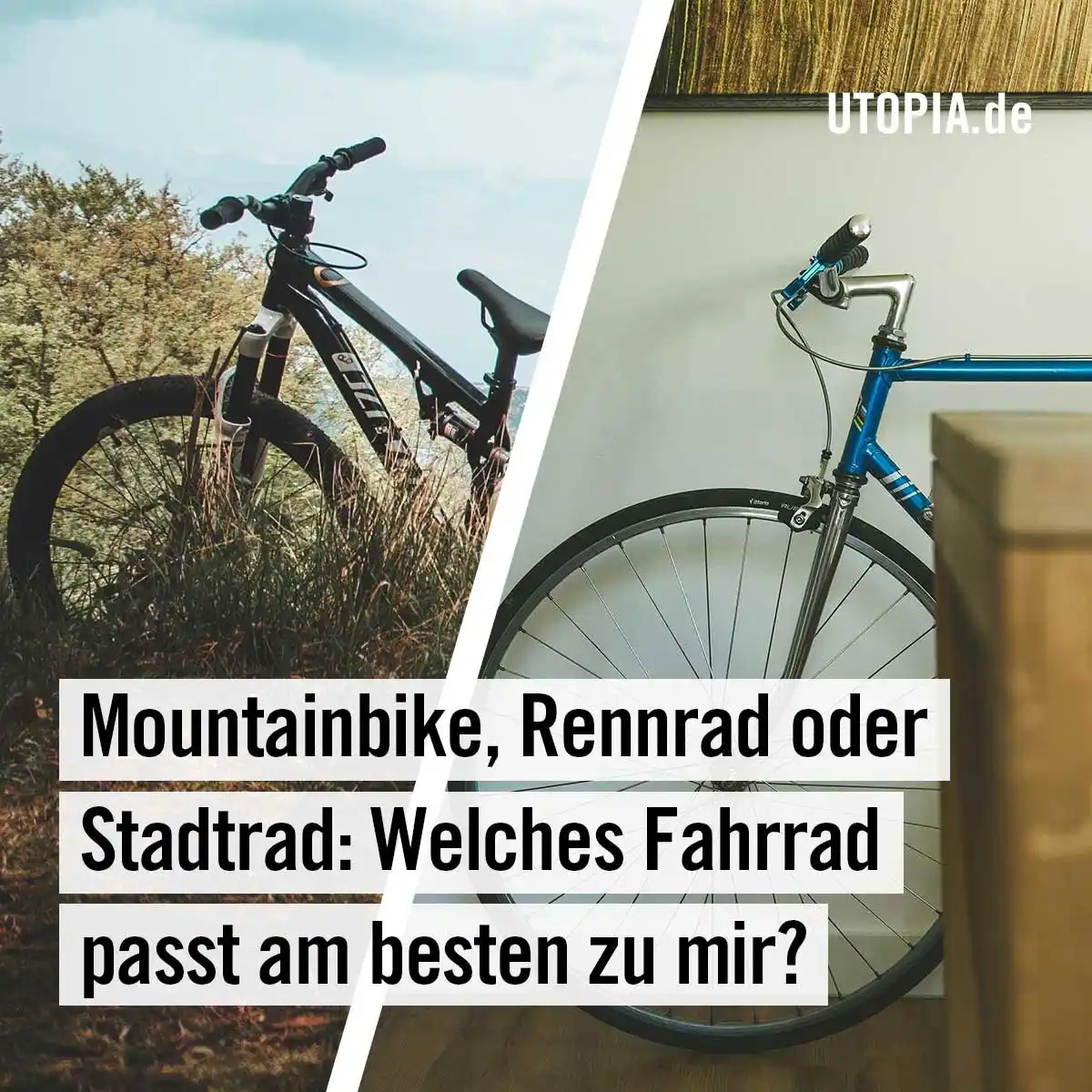 Image from Utopia: 🚴♂️ Rennrad, Mountainbike, Gravelbike: Welches Fahrrad passt am best...