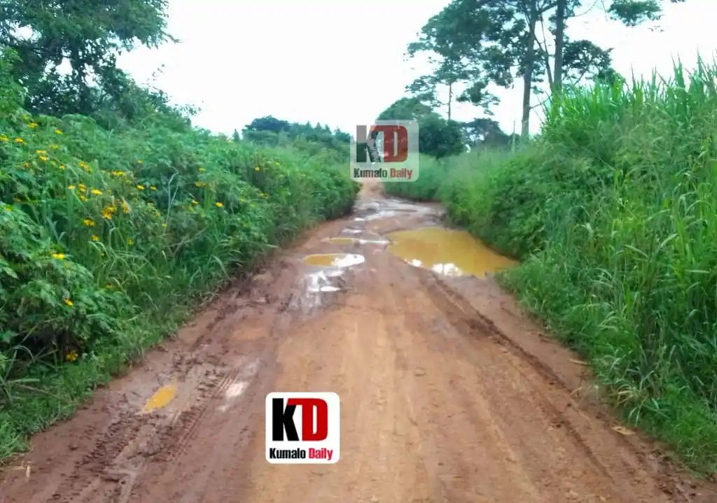 Image from Kumalo Daily: Uganda’s tarmac cover now stands at 6,287 kilometers, as against 3,112...