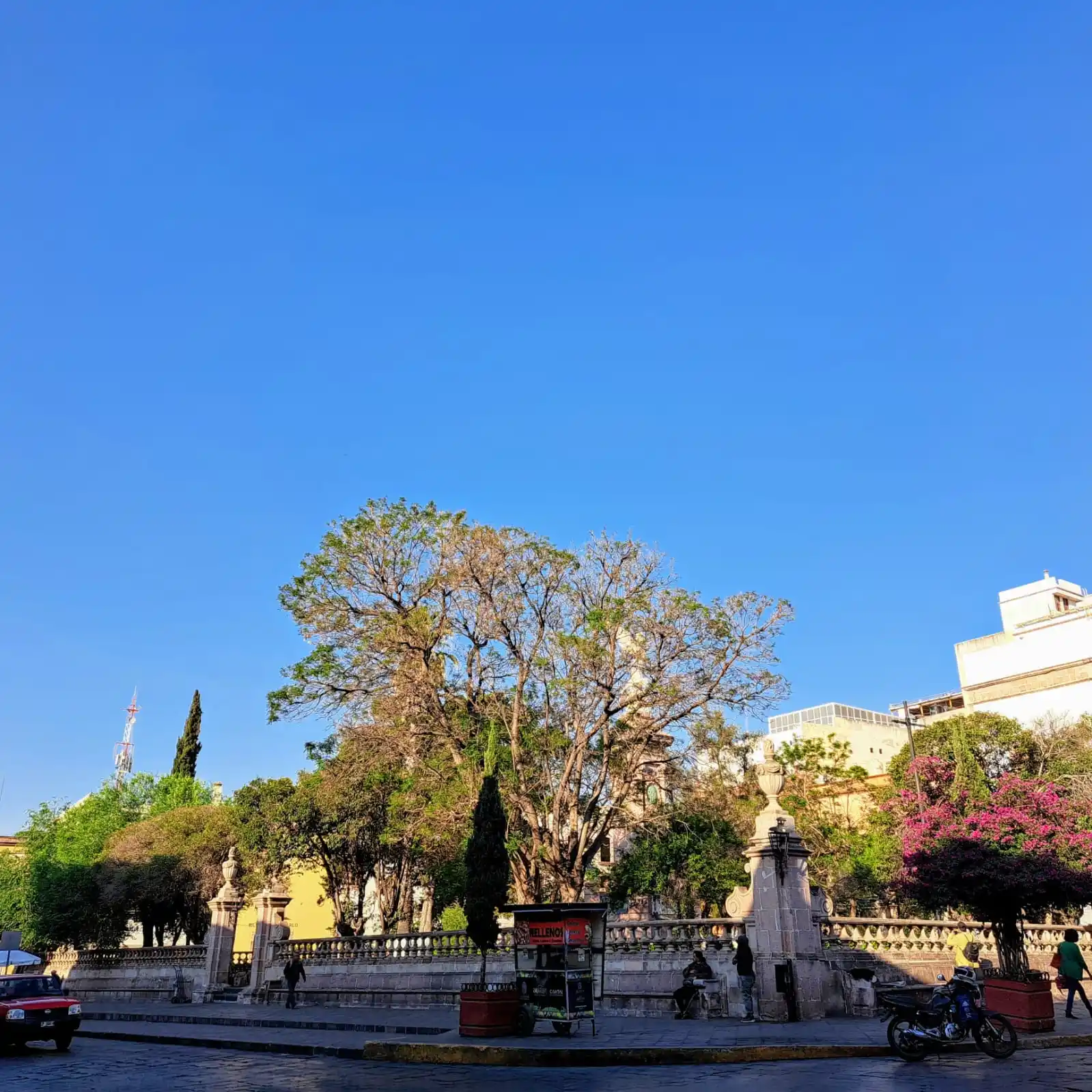 Image from NTR Zacatecas: ¡Buenos días, <a class="text-blue-500 hover:underline cursor-pointer" ...