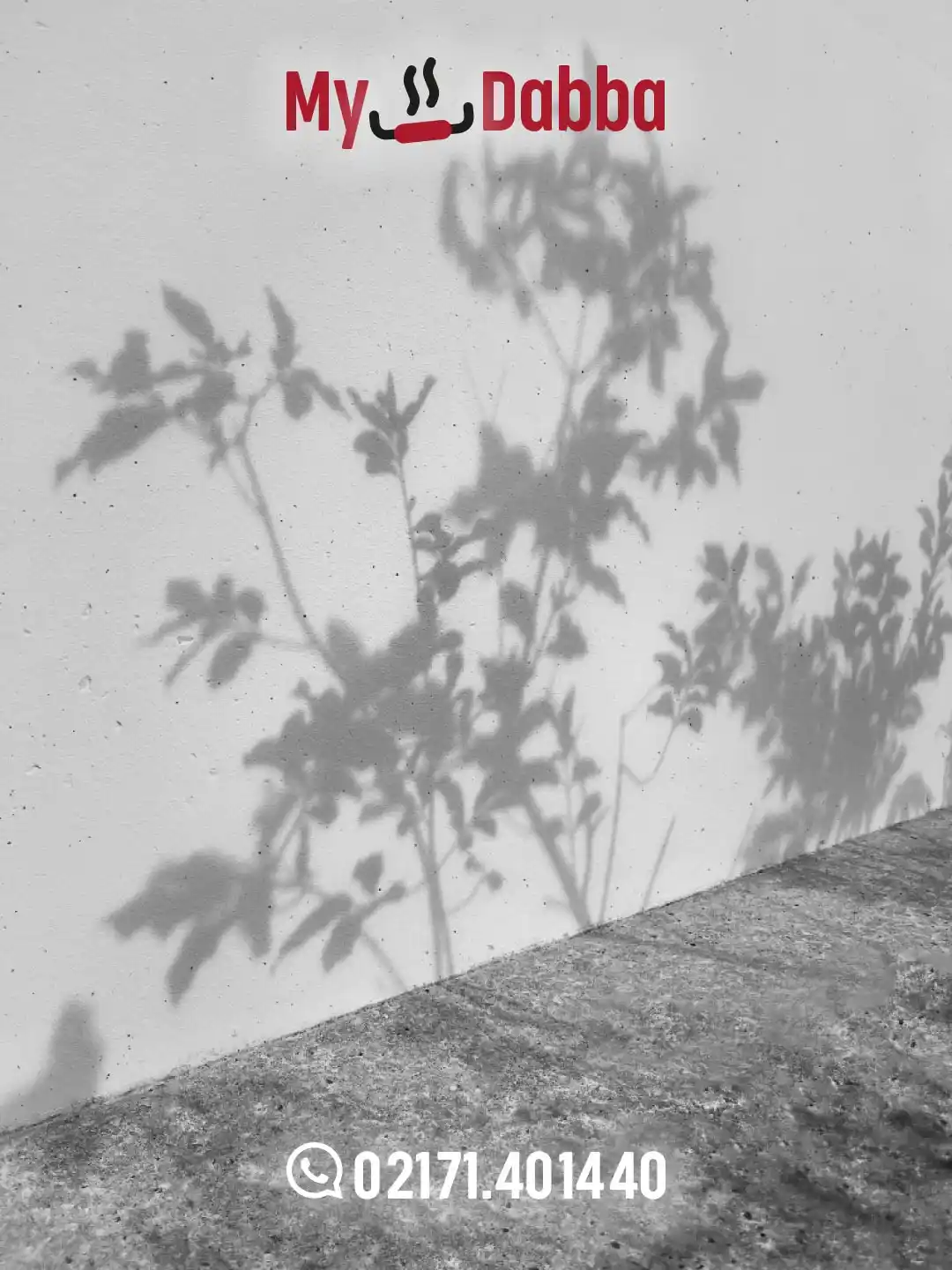 Image from My♥Dabba: ✨ Die Schönheit der kleinen Dinge. Ein bisschen Licht, ein Schatten –...