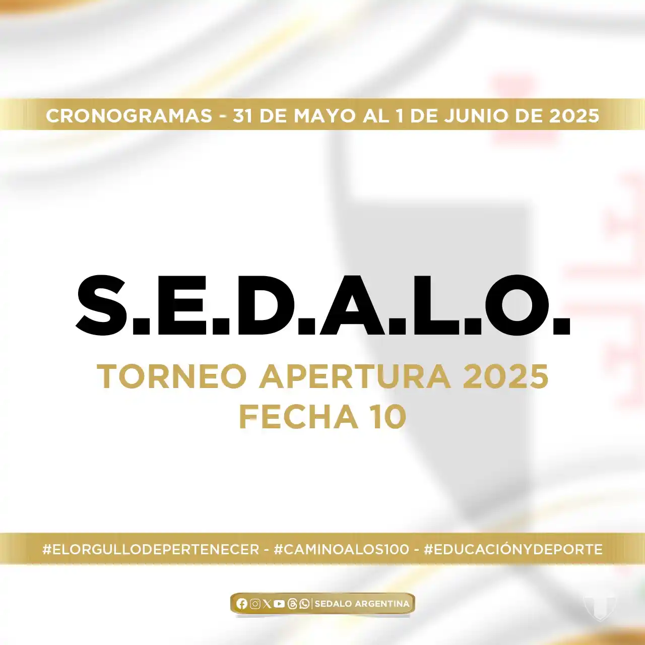 Image from Sedalo Argentina: 🤾🏼♂️FECHA 10 🇩🇪 Este fin de semana disputaremos la Fecha 10 del ...