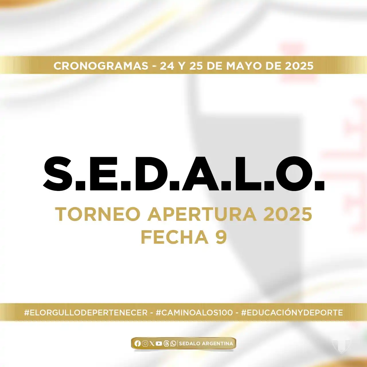 Image from Sedalo Argentina: 🤾🏼♂️FECHA 9 🇩🇪 Este fin de semana disputaremos la Fecha 9 del To...