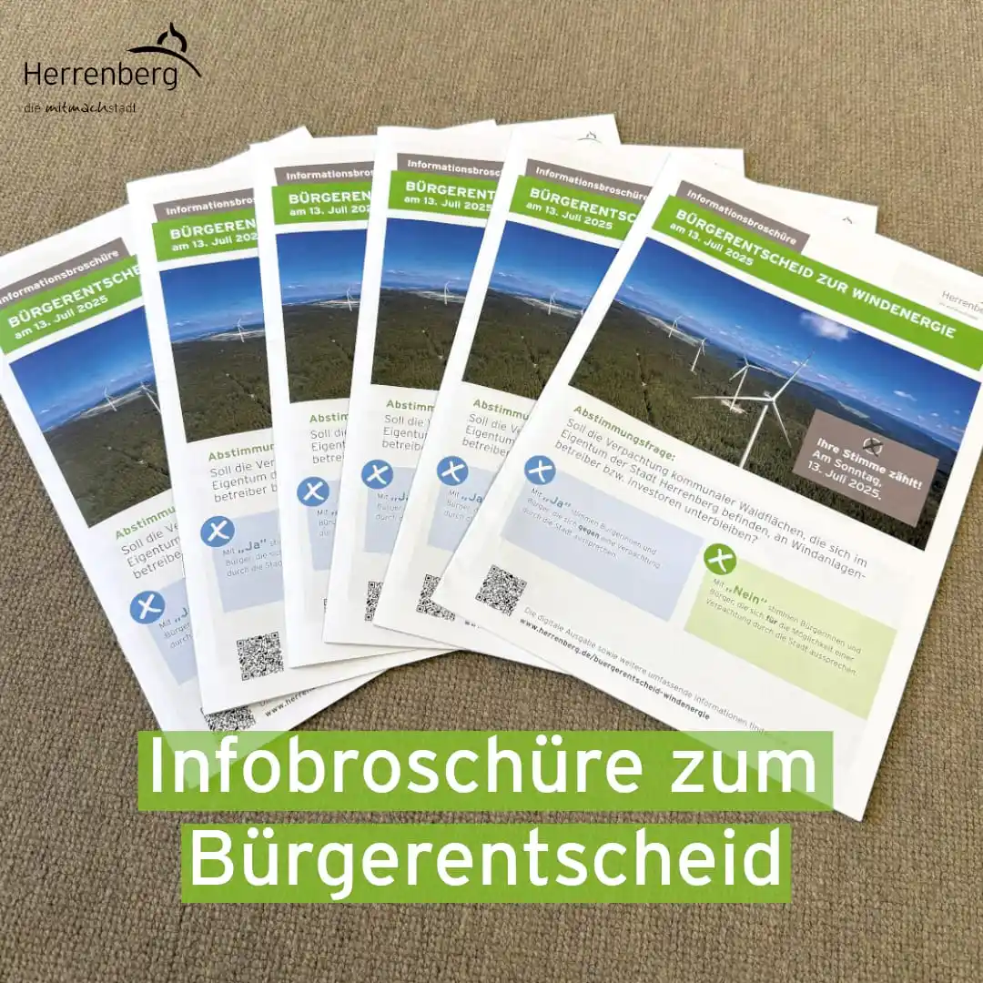 Image from Stadt Herrenberg : 📘 Info-Broschüre zum Bürgerentscheid am 13. Juli 2025 Was wird abges...