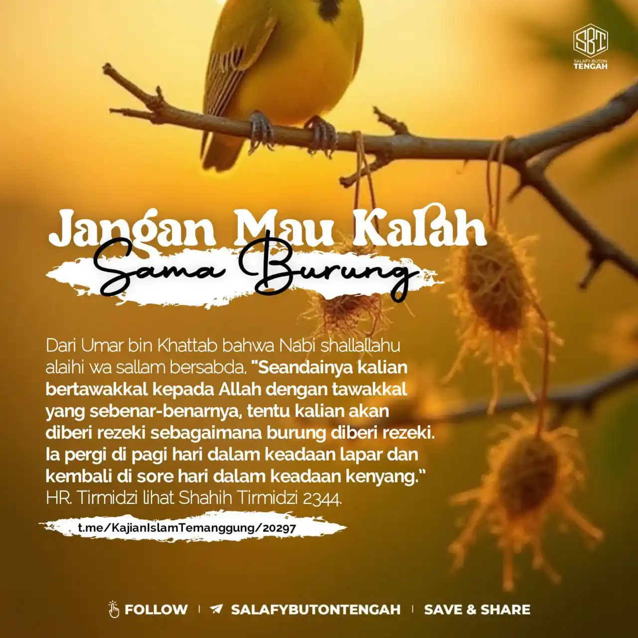 Image from Poster Faedah: Jangan Mau Kalah Sama Burung...