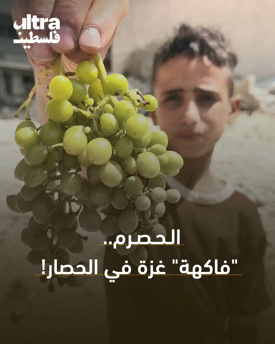 Image from الترا فلسطين | Ultra Palestine: خاص | أطفال يبيعون العنب قبل موسم قطافه في مدينة غزة في ظل عدم توفر أي...